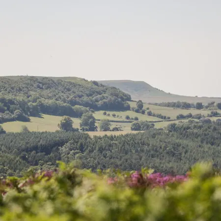 Hotel Tortworth 4*