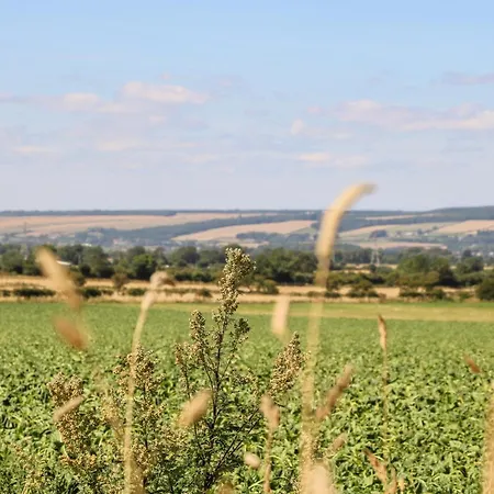 Tortworth Ganton